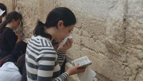 娱乐圈吃瓜的态度